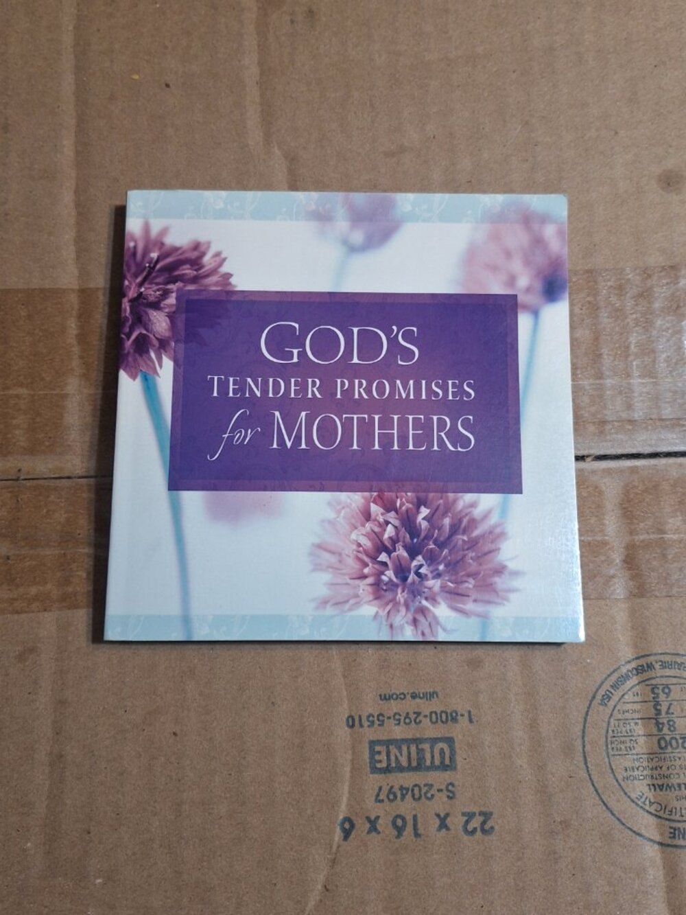 God's Tender Promises for Mother